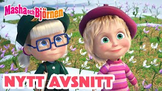 Masha och Björnen ✌ Nytt avsnitt ✌  Den första svalan