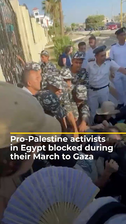 Egypt stops pro-Palestine activists in their March to Gaza | AJ #shorts