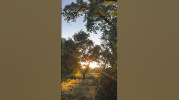 قَالَ إِنِّي عَبْدُ اللَّهِ آتَانِيَ الْكِتَابَ وَجَعَلَنِي نَبِيًّا | سورة مريم