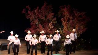 Fools Silver With Steppers Teach Your Children