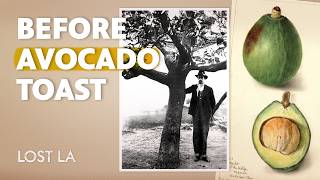 How One CA Tree Launched a Global Avocado Industry | Lost LA