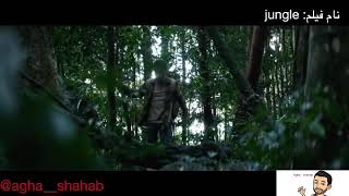 فیلم جنگل