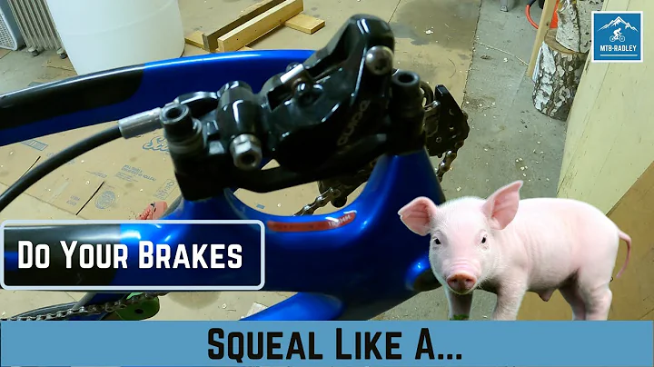 Sick of Your MTB Disc Brakes Squealing? Learn How to Stop Disc Brake Noise - Mountain Bike Tips