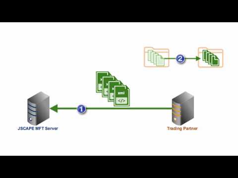 Moving Files On The Remote Server After An Automated FTP Download