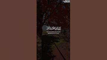 هُوَ الَّذِي يُنَزِّلُ عَلَى عَبْدِهِ | الشيخ ياسر الدوسري | سورة الحديد#قرآن