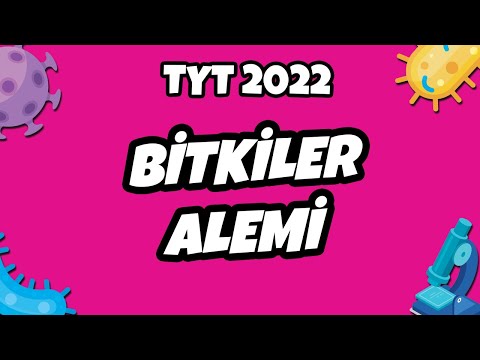 Bitkiler Alemi | TYT Biyoloji 2022 #hedefekoş