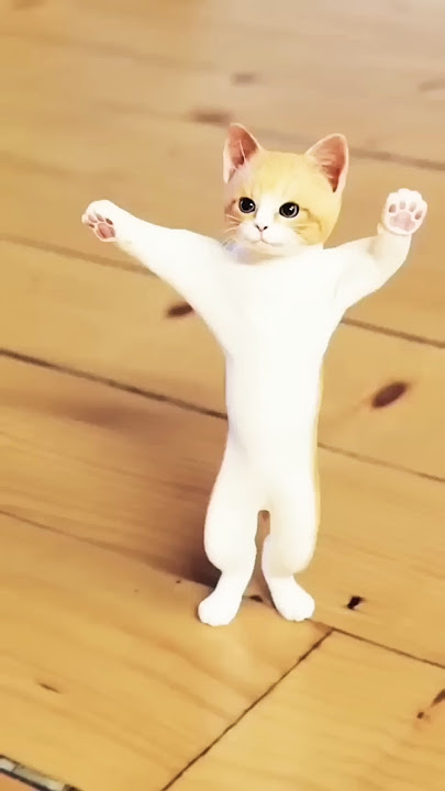 Chunni mai.. Cat dance..#happynewyear