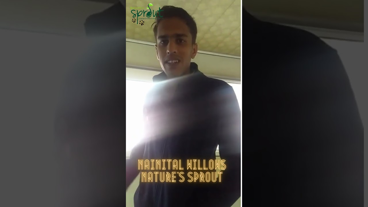 Nainital Willows: Guest Feedback On Lake View Hotel In Nainital - Nature's Sprout