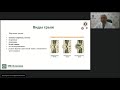 Вебинар "Грыжи белой линии живота" – Сенько.В.В.