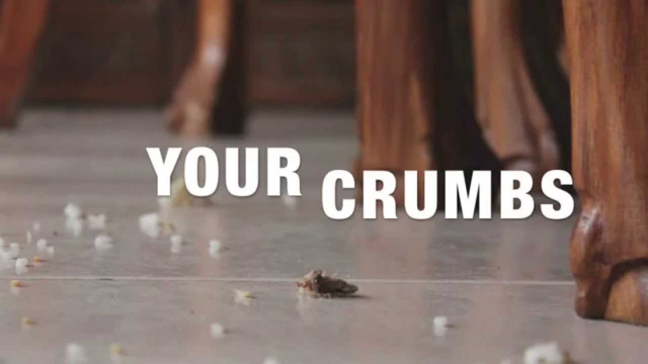 JD Lawrence's CRUMBS Matthew 1527 YouTube