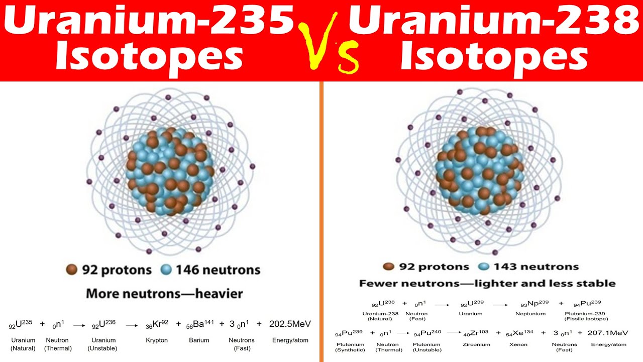 Differences Between Uranium 235 And Uranium 238 Isotopes YouTube