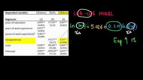 ECONOMETRICS | Log Log Model