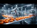 100% Automated Dried Persimmon Processing Technology You’ve Never Seen Before