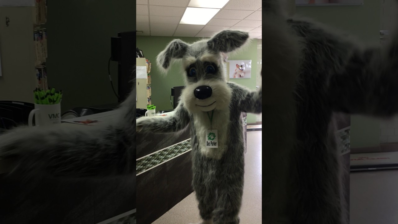 Pet Fair 2017 Pawllywood @ VMC studio City