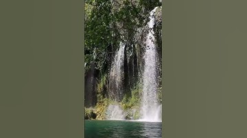 تلاوة سورة الفاتحة بصوت الشيخ محمد ابراهيم سيد (حفظه الله ورعاه)
