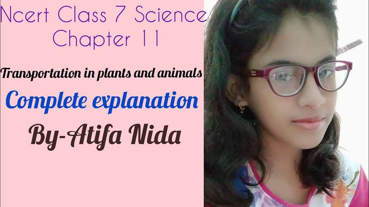 Ncert Class 7 Science chapter 11 (Transportation in plants and animals ...