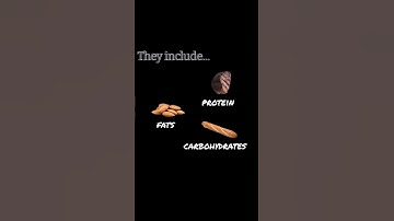 What’s the Difference Between Macros and Micros? 🤔