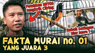 Rubah Settingan BIAR JUARA 1 - Murai Sugali - Spesial Ramadhan The Sultan