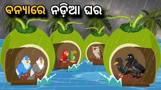 Banyare Nadia Ghar  | Tiki Chadhei Gapa | Odia gapa | Moral Story | Bird Story | cartoon story