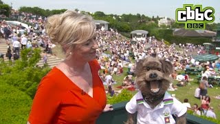Wimbledon 2015  Carol Kirkwood meets Hacker the dog  CBBC