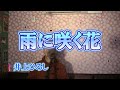 雨に咲く花/井上ひろし(cover by まっちゃん) 歌詞が概要欄にあります。