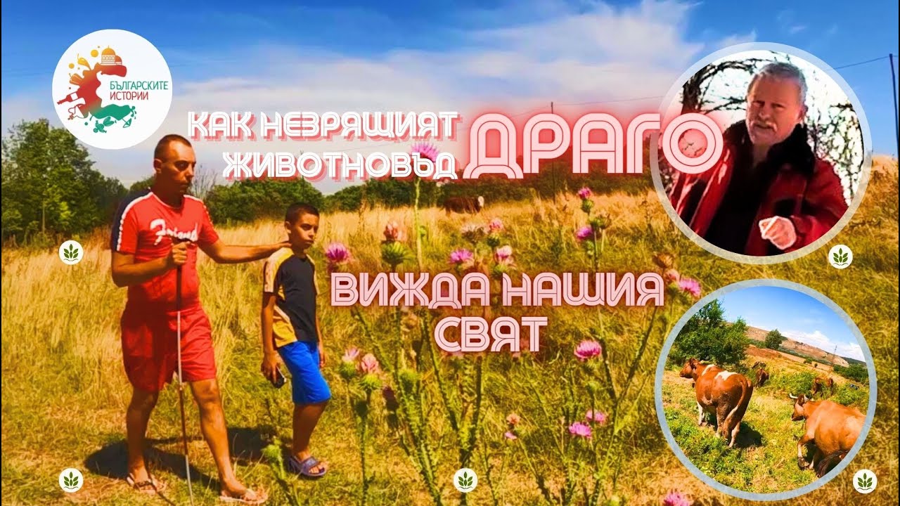 Евродепутат, бивш министер и много администратори не помагат на сляп животновъд.Вижте кой му помогна