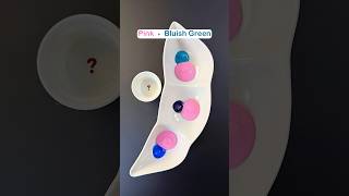 Pink, Bluish Green, Dioxazine Voilet, Deep Cyan Color Mixing Together