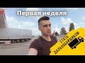 #3 Стать дальнобойщиком. Код95. Психотесты. Заселение в дом. Учёба