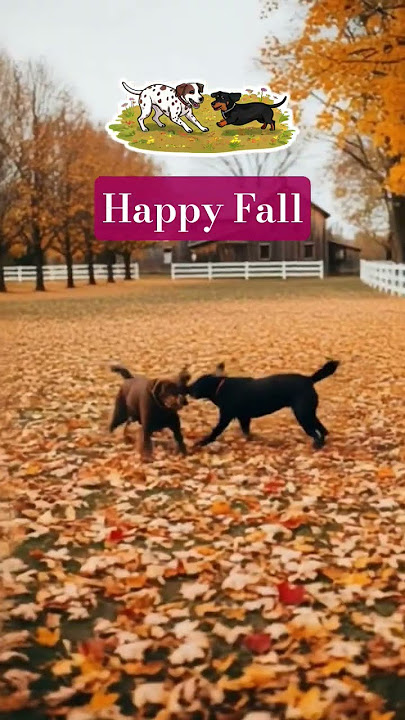#DreamTrackAI Fall music, maple leaves dogs playing