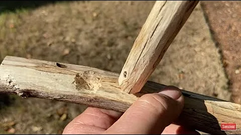 Bow Drill Damp Water Oak