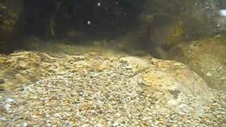 DSCF0816.AVI