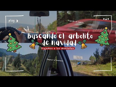 VLOGMAS| VIAJE EN FAMILIA+ BUSCANDO EL ARBOL DE NAVIDAD 🎄#fyp #navidad #viajes #christmas 