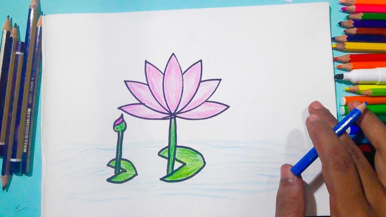 Featured image of post How To Draw Water Lily For Kids : Make sure you also check out any of the hundreds of drawing tutorials.