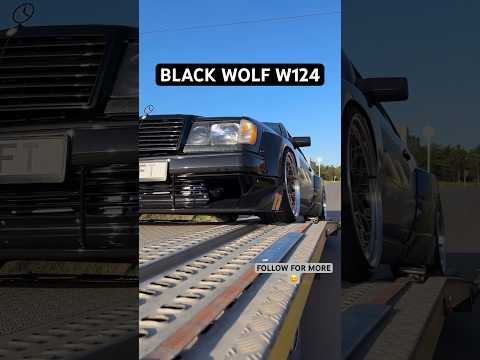 Mercedes w124 ce300