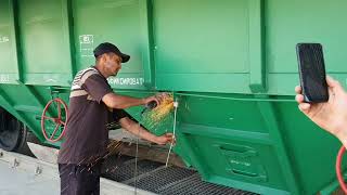 unloading wheat from wagons...