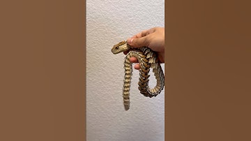 Rattle Snake Nope Noodle! #3dprinting #3dprinted #bambulab #snake