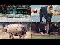 "Chidiya Ghar" Detailed Vlog | Every Information About "Delhi Zoo" | "Chidiya Ghar" Delhi Vlog