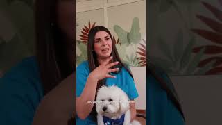 Hi ha activitats que desperten molt més que un somriure 🐾