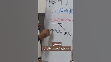 مامعنى [ فجعلهم كعصف مأكول ] سورة الفيل