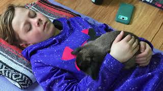 Bunny Yoga at Full Circle Yoga March 2018