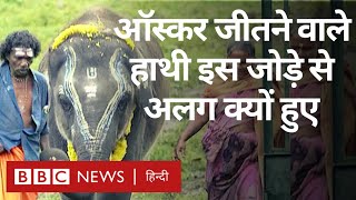 The Elephant Whisperers: Oscar जीतने वाले हाथी अपनी देखभाल करने वालों से अलग क्यों हुए? (BBC Hindi)