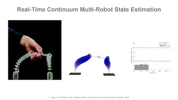 State Estimation for Continuum Multi-Robot Systems on SE(3)
