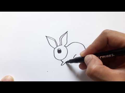 วีดีโอ: วิธีการวาดกระต่ายด้วยดินสอ
