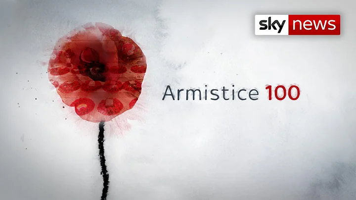 Armistice 100: The cemetery where the first and la...
