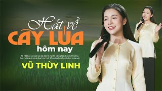 Hát Về Cây Lúa Hôm Nay - Vũ Thùy Linh Official Mv 4K Giọng Hát Ngọt Ngào Vạn Người Mê