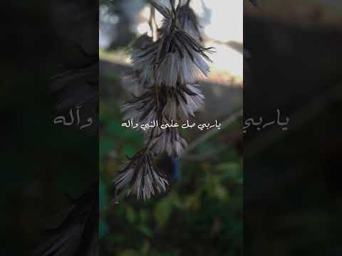 صلى الله عليك في عليائه اللهم صل وسلم على نبينا محمد