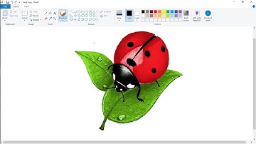 How to draw a Ladybugs in Ms Paint | beginners | Speed drawing | Computer painting | Insects