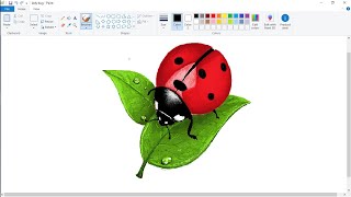 How to draw a Ladybugs in Ms Paint | beginners | Speed drawing | Computer painting | Insects screenshot 3