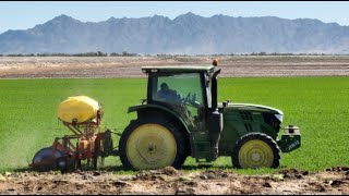 ‘We need Yuma’, Stakes high for southwest Arizona farmers as river negotiations stall