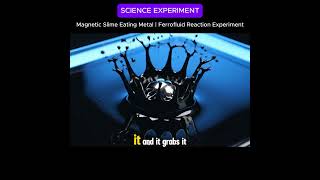 Magnetic Slime Eating Metal Ferrofluid Reaction Experiment